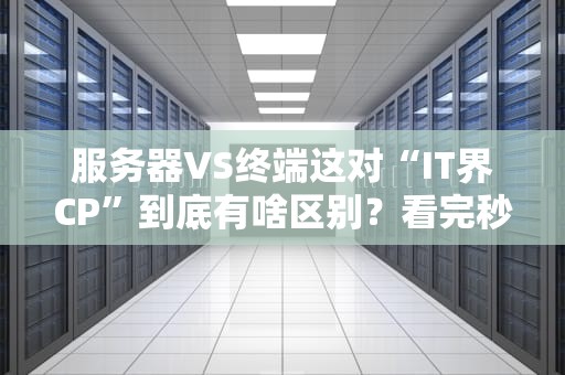服务器VS终端这对“IT界CP”到底有啥区别？看完秒变老司机！