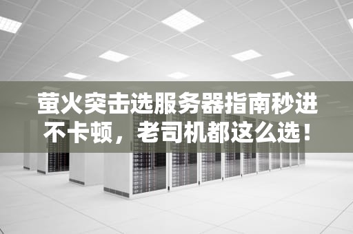 萤火突击选服务器指南秒进不卡顿，老司机都这么选！