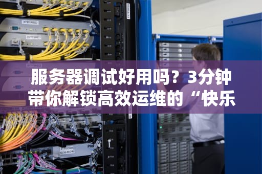服务器调试好用吗？3分钟带你解锁高效运维的“快乐密码”！