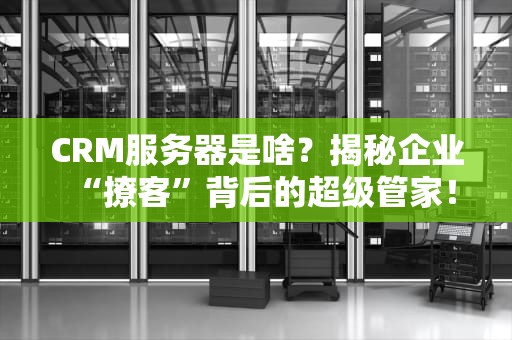 CRM服务器是啥？揭秘企业“撩客”背后的超级管家！