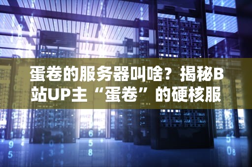 蛋卷的服务器叫啥？揭秘B站UP主“蛋卷”的硬核服务器配置！