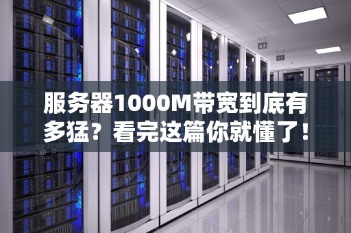 服务器1000M带宽到底有多猛？看完这篇你就懂了！