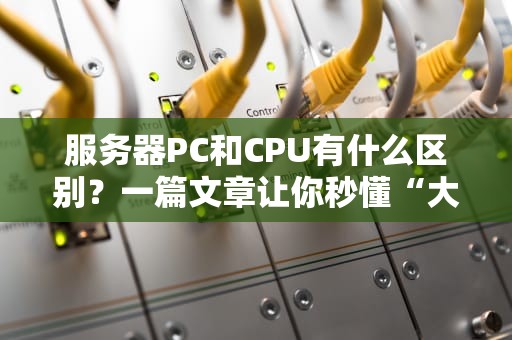 服务器PC和CPU有什么区别？一篇文章让你秒懂“大脑”和“肌肉”的分工！