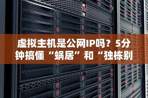 虚拟主机是公网IP吗？5分钟搞懂“蜗居”和“独栋别墅”的区别！