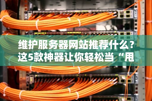 维护服务器网站推荐什么？这5款神器让你轻松当“甩手掌柜”！