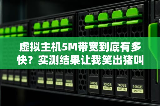虚拟主机5M带宽到底有多快？实测结果让我笑出猪叫！