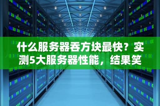 什么服务器吞方块最快？实测5大服务器性能，结果笑到扶墙！