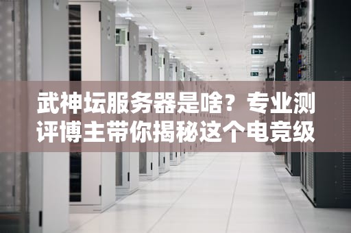 武神坛服务器是啥？专业测评博主带你揭秘这个电竞级战斗平台！
