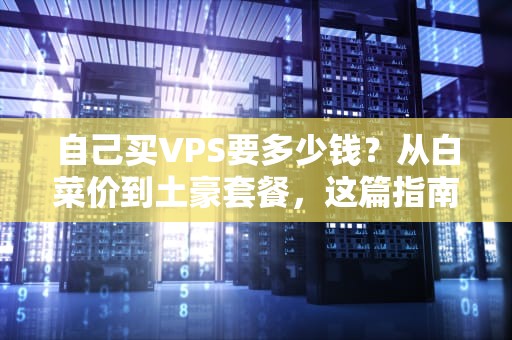 自己买VPS要多少钱？从白菜价到土豪套餐，这篇指南让你不花冤枉钱！