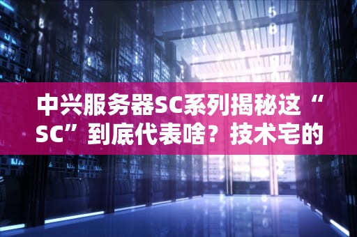中兴服务器SC系列揭秘这“SC”到底代表啥？技术宅的快乐你想象不到！