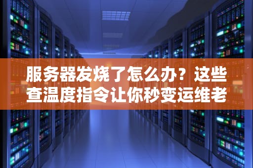 服务器发烧了怎么办？这些查温度指令让你秒变运维老中医！