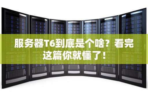 服务器T6到底是个啥？看完这篇你就懂了！