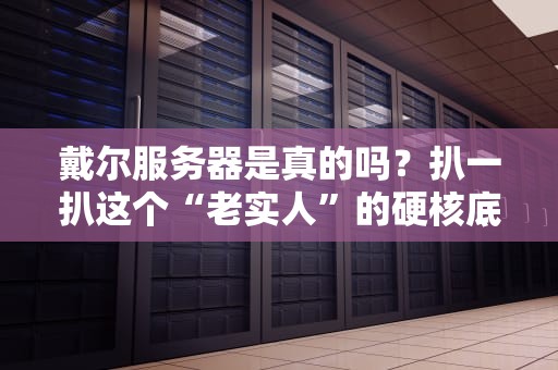 戴尔服务器是真的吗？扒一扒这个“老实人”的硬核底裤！