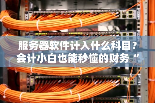 服务器软件计入什么科目？会计小白也能秒懂的财务“黑话”解析！