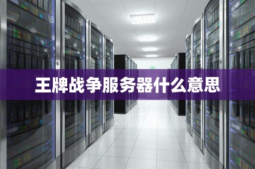 王牌战争服务器什么意思
