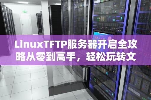 LinuxTFTP服务器开启全攻略从零到高手，轻松玩转文件传输！