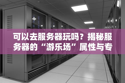 可以去服务器玩吗？揭秘服务器的“游乐场”属性与专业玩法