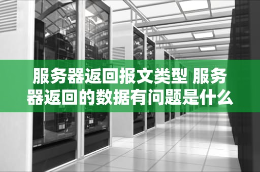 服务器返回报文类型 服务器返回的数据有问题是什么意思