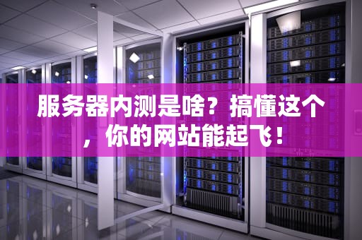 服务器内测是啥？搞懂这个，你的网站能起飞！