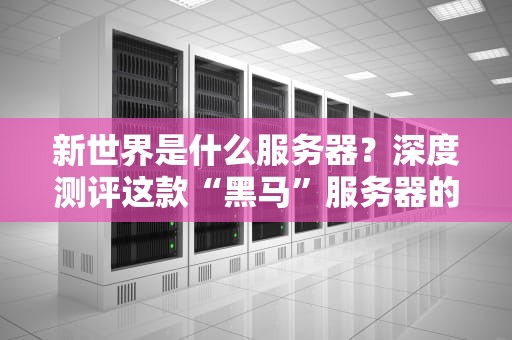新世界是什么服务器？深度测评这款“黑马”服务器的真实表现！