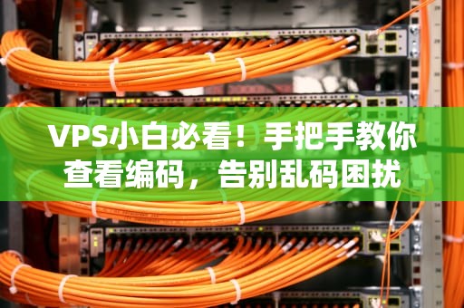 VPS小白必看！手把手教你查看编码，告别乱码困扰