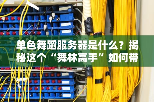 单色舞蹈服务器是什么？揭秘这个“舞林高手”如何带飞你的网站！