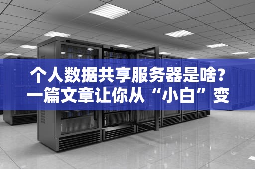个人数据共享服务器是啥？一篇文章让你从“小白”变“大神”！