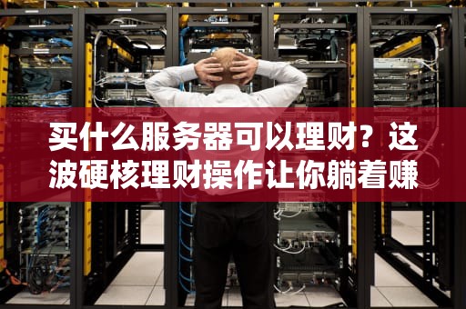 买什么服务器可以理财？这波硬核理财操作让你躺着赚钱！