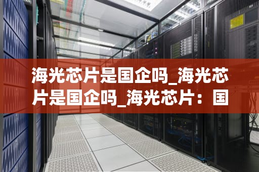 海光芯片是国企吗_海光芯片是国企吗_海光芯片：国企的骄傲与挑战