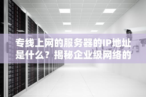 专线上网的服务器的IP地址是什么？揭秘企业级网络的VIP通行证！