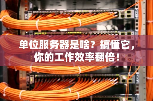单位服务器是啥？搞懂它，你的工作效率翻倍！