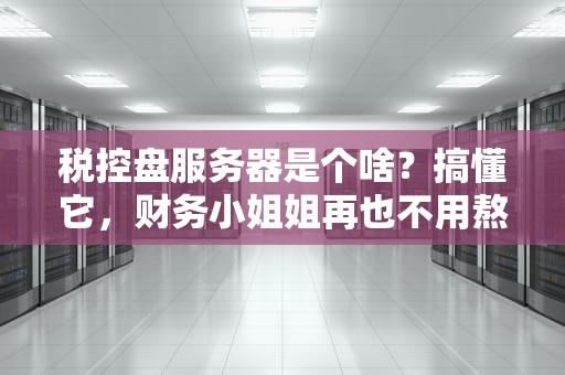 税控盘服务器是个啥？搞懂它，财务小姐姐再也不用熬夜加班！