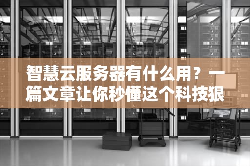智慧云服务器有什么用？一篇文章让你秒懂这个科技狠活！