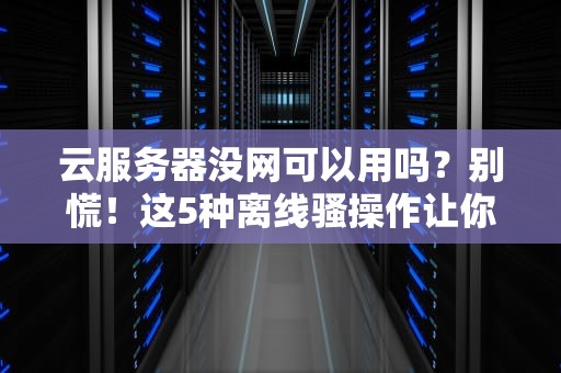 云服务器没网可以用吗？别慌！这5种离线骚操作让你笑出声