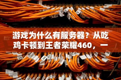 游戏为什么有服务器？从吃鸡卡顿到王者荣耀460，一文读懂游戏服务器的秘密！