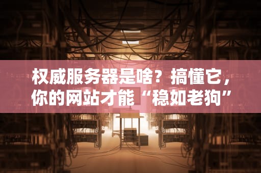权威服务器是啥？搞懂它，你的网站才能“稳如老狗”！