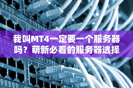 我叫MT4一定要一个服务器吗？萌新必看的服务器选择指南