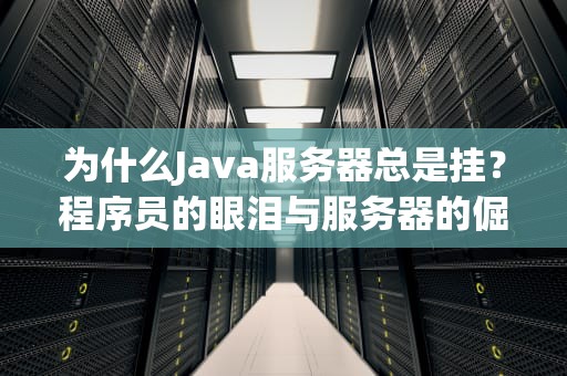 为什么Java服务器总是挂？程序员的眼泪与服务器的倔强