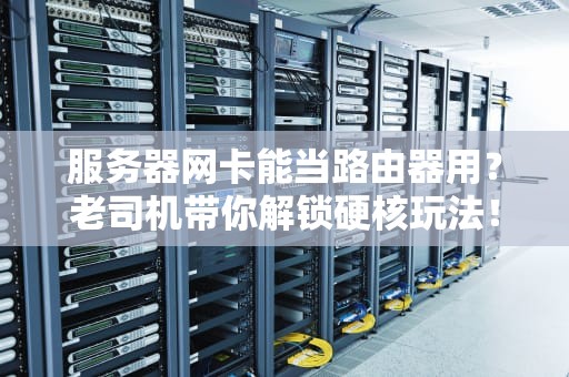 服务器网卡能当路由器用？老司机带你解锁硬核玩法！