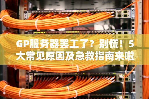 GP服务器罢工了？别慌！5大常见原因及急救指南来啦！