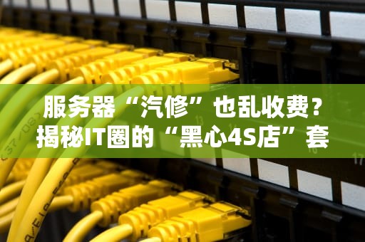 服务器“汽修”也乱收费？揭秘IT圈的“黑心4S店”套路！