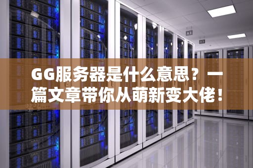 GG服务器是什么意思？一篇文章带你从萌新变大佬！