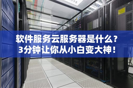 软件服务云服务器是什么？3分钟让你从小白变大神！