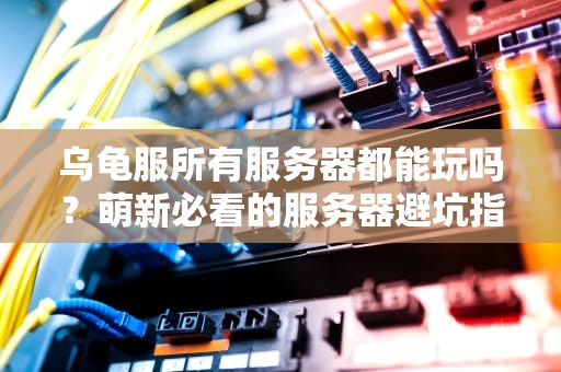 乌龟服所有服务器都能玩吗？萌新必看的服务器避坑指南！