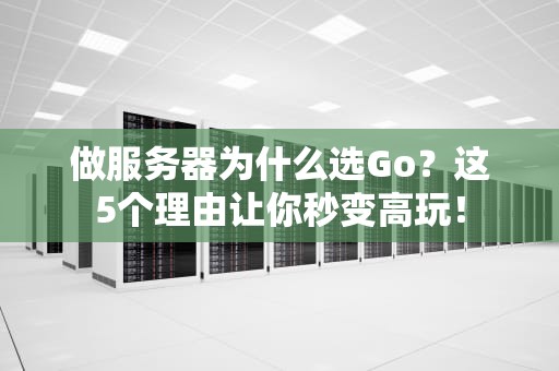 做服务器为什么选Go？这5个理由让你秒变高玩！