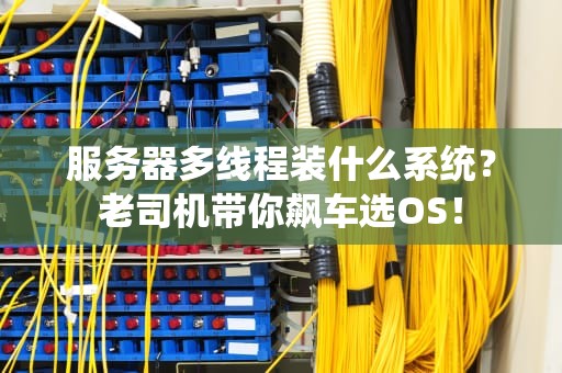 服务器多线程装什么系统？老司机带你飙车选OS！