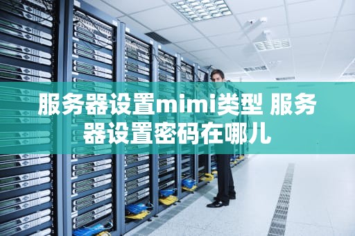 服务器设置mimi类型 服务器设置密码在哪儿