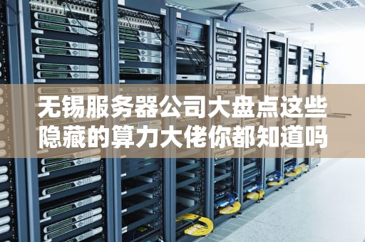 无锡服务器公司大盘点这些隐藏的算力大佬你都知道吗？