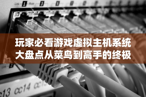 玩家必看游戏虚拟主机系统大盘点从菜鸟到高手的终极指南！