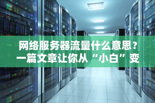 网络服务器流量什么意思？一篇文章让你从“小白”变“大神”！（附真实测评案例）